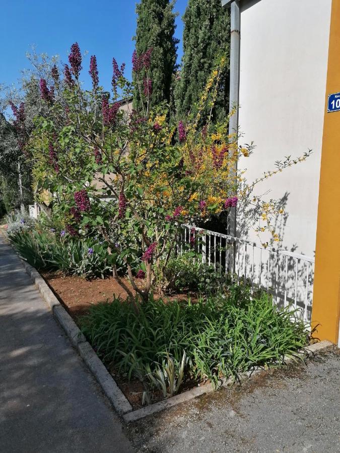 4 Roses Apartment Ravni Exterior photo